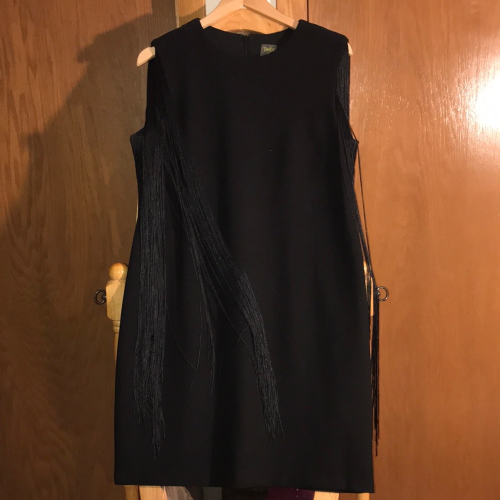 Taylor mini sheath dress with FRINGE sleeves